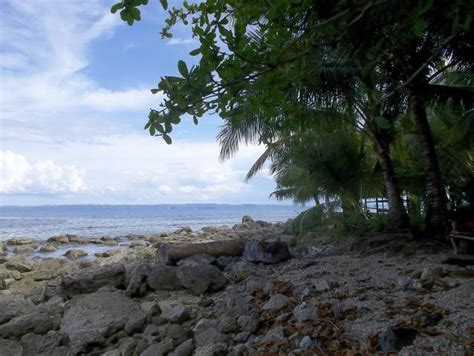 STL Surigao Del Sur.